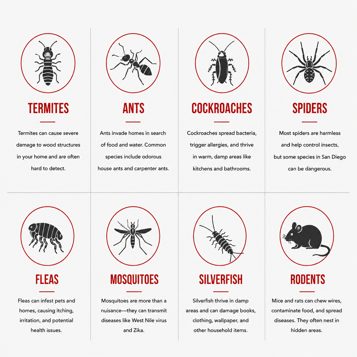 Common San Diego pests: termites, ants, cockroaches, spiders, fleas, mosquitoes, silverfish, and rodents