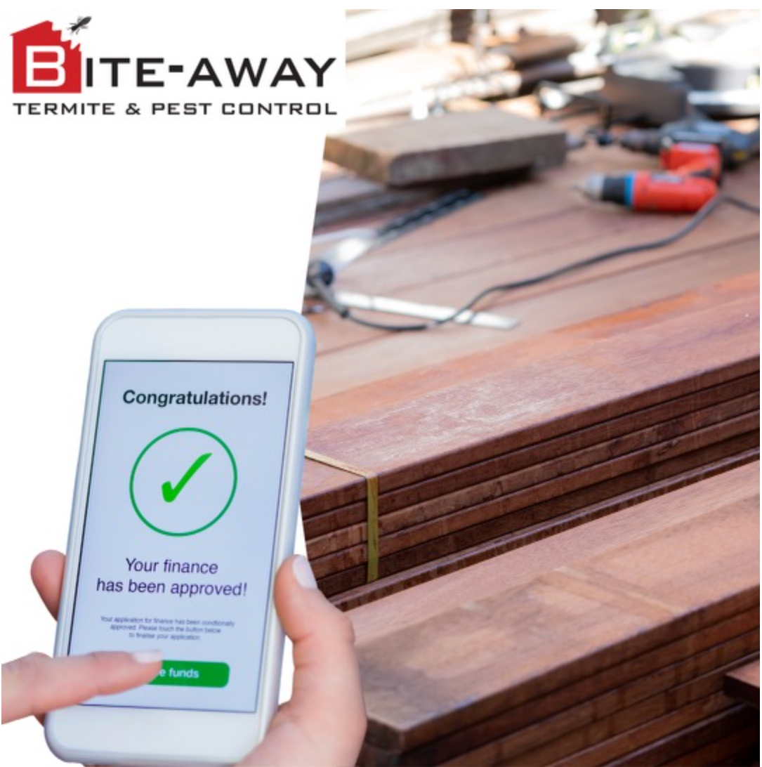 Bite Away repair financing — application approved on a mobile phone