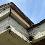 termite damage at fascia board