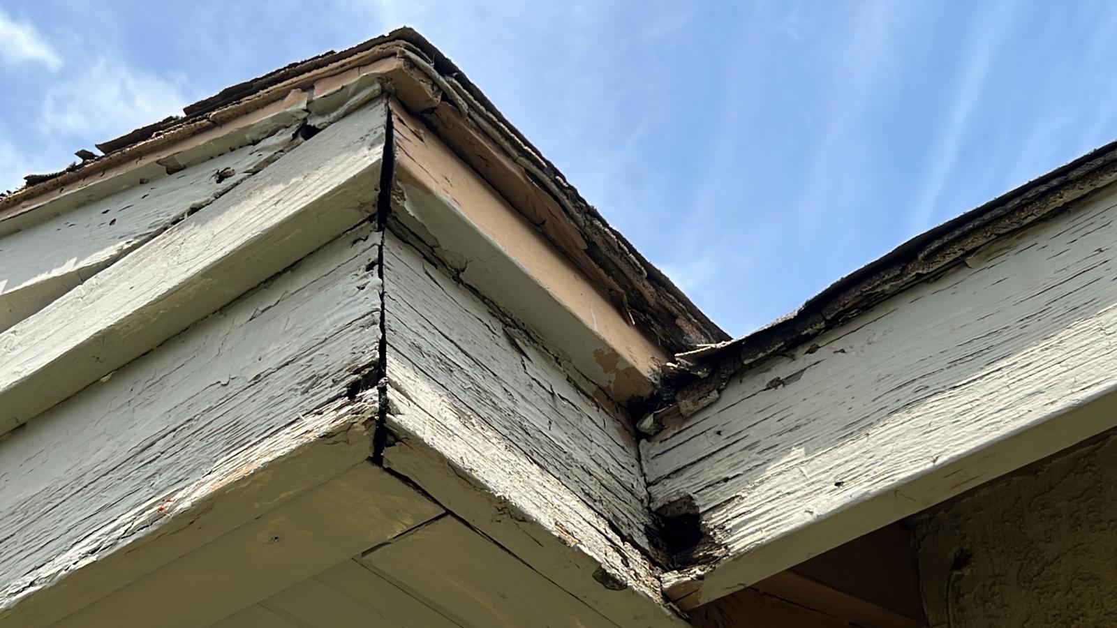 termite damage at fascia board