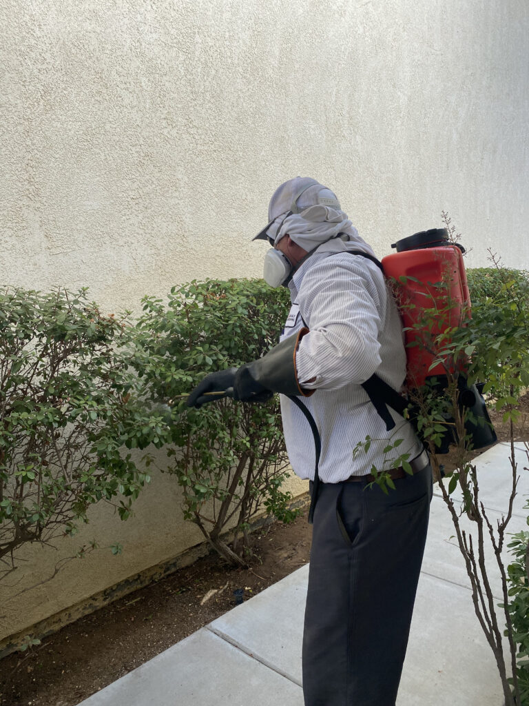 Technician treating a home for pest control and mosquitoes