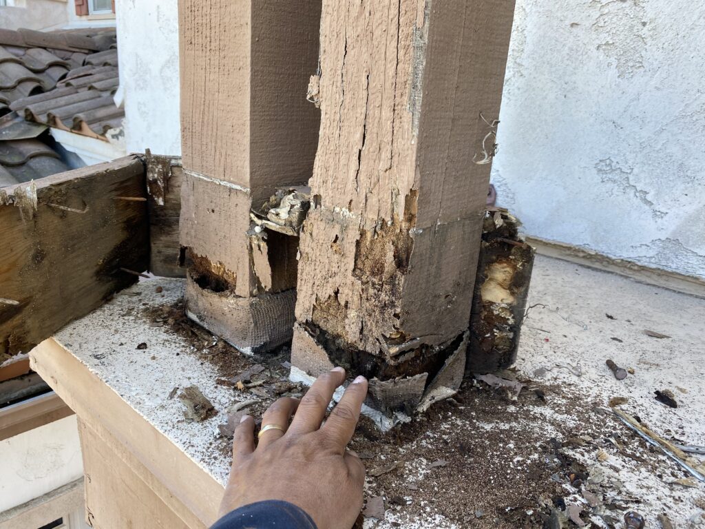 Termite damaged wood