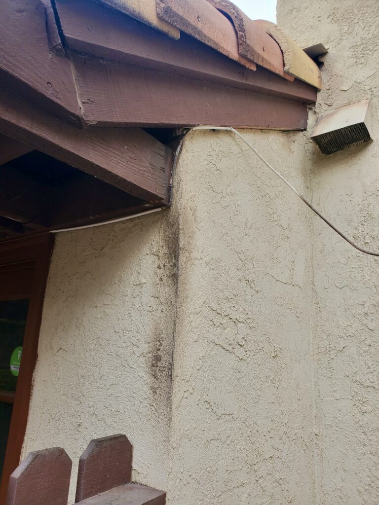 Grease trails from rats and mice on stucco