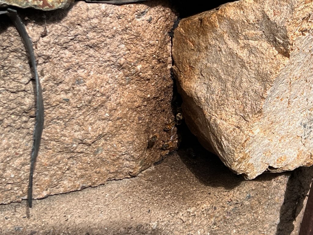 Beehive in rocks