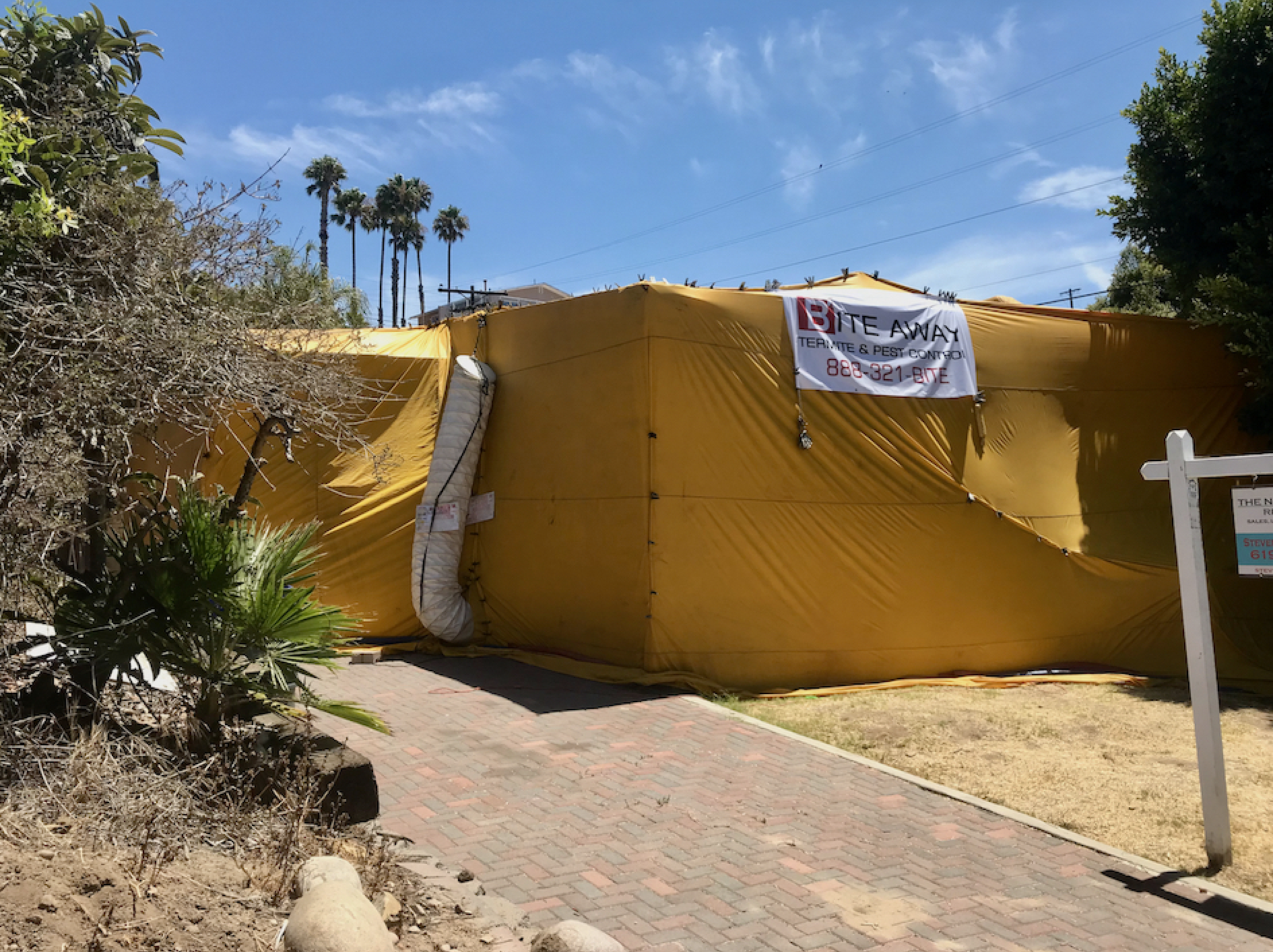 House with fumigation tent